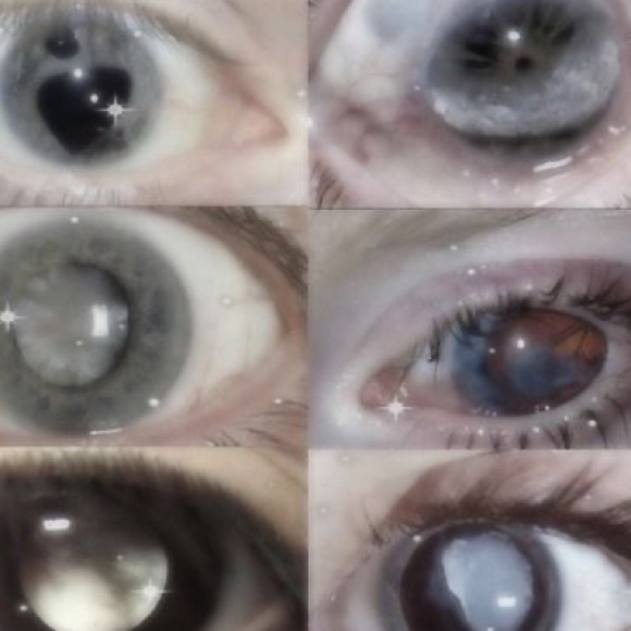 Meet your Posher, Krys - Picture 1 of 1